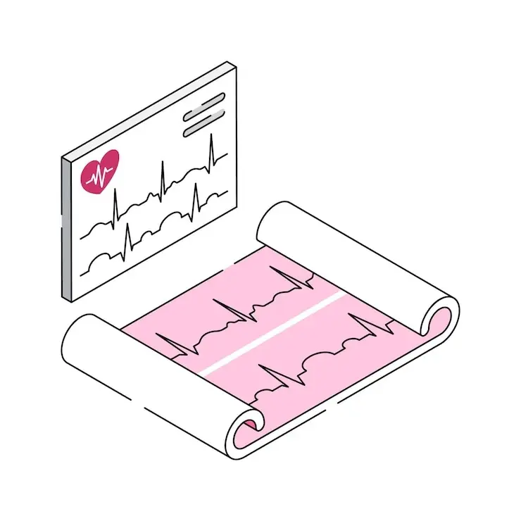 ECG Roll 80mm 3 Channel