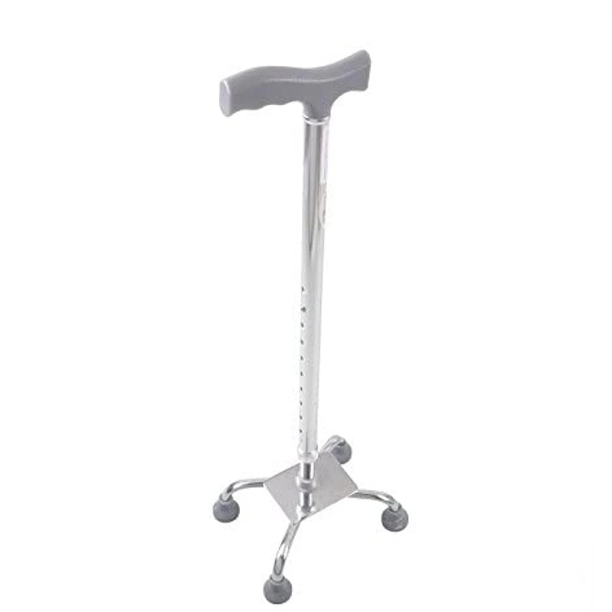 Walking Stick Four Pad